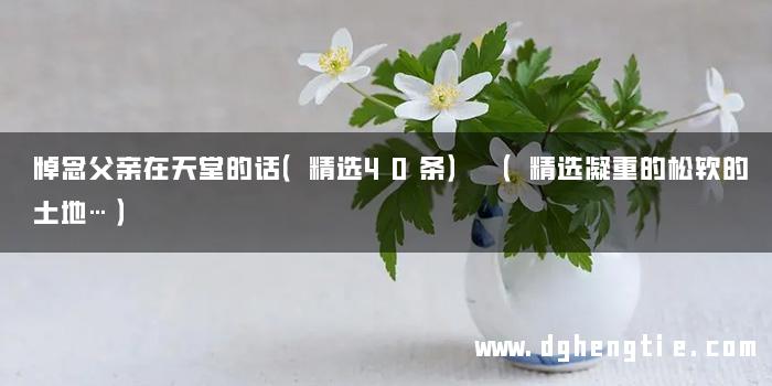 悼念父亲在天堂的话（精选40条） （精选凝重的松软的土地…）